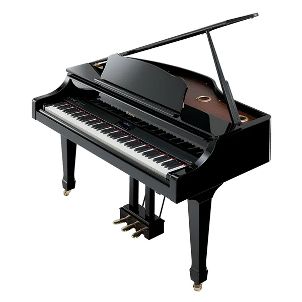 Music City – Tổng Kho Piano, Guitar, Organ | Dịch Vụ Giáo Dục Âm Nhạc