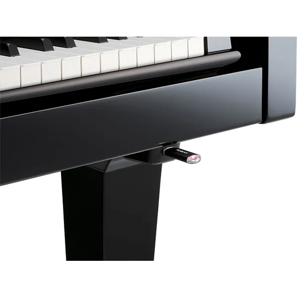 dan-piano-roland-rg3f-musiccity