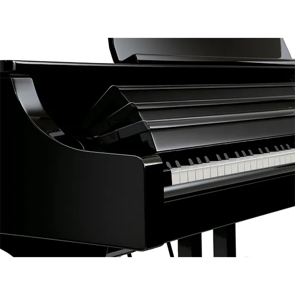 Music City – Tổng Kho Piano, Guitar, Organ | Dịch Vụ Giáo Dục Âm Nhạc