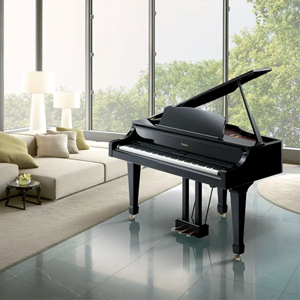 Music City – Tổng Kho Piano, Guitar, Organ | Dịch Vụ Giáo Dục Âm Nhạc