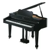 dan-piano-roland-rg3m-musiccity