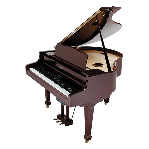 Music City – Tổng Kho Piano, Guitar, Organ | Dịch Vụ Giáo Dục Âm Nhạc