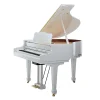 dan-piano-roland-rg7-pe-musiccity