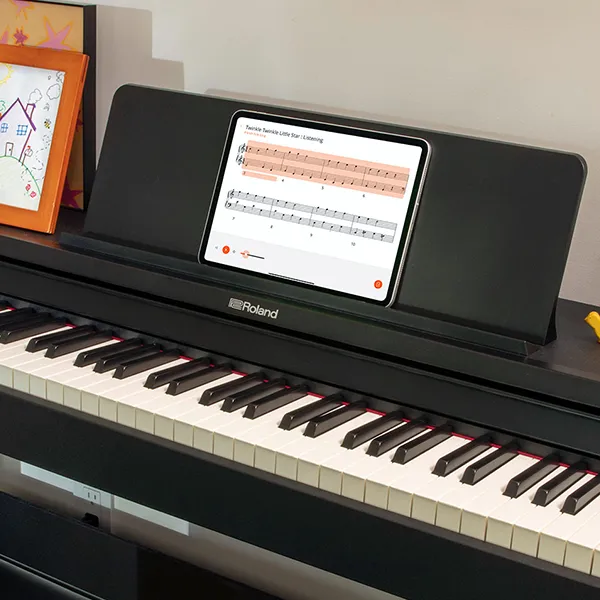 Music City – Tổng Kho Piano, Guitar, Organ | Dịch Vụ Giáo Dục Âm Nhạc