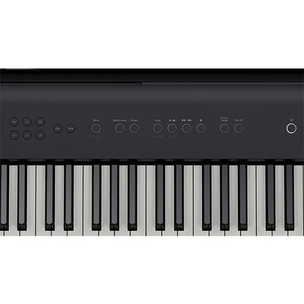 Music City – Tổng Kho Piano, Guitar, Organ | Dịch Vụ Giáo Dục Âm Nhạc