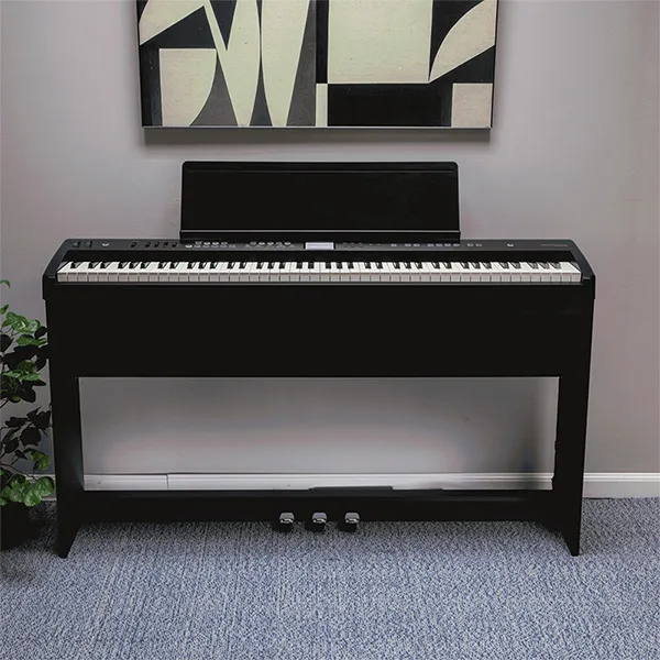Music City – Tổng Kho Piano, Guitar, Organ | Dịch Vụ Giáo Dục Âm Nhạc