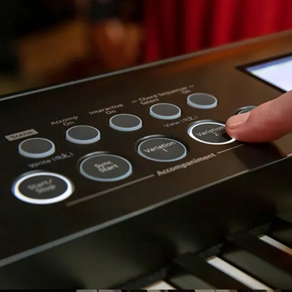 Music City – Tổng Kho Piano, Guitar, Organ | Dịch Vụ Giáo Dục Âm Nhạc