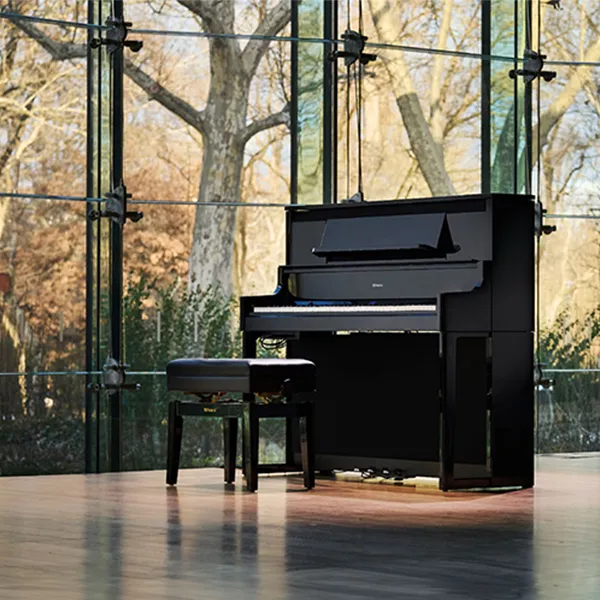 Music City – Tổng Kho Piano, Guitar, Organ | Dịch Vụ Giáo Dục Âm Nhạc