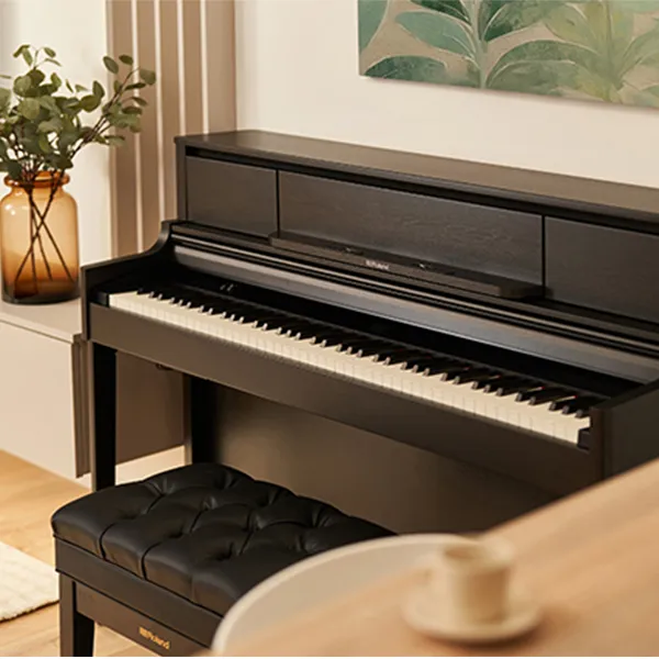 Music City – Tổng Kho Piano, Guitar, Organ | Dịch Vụ Giáo Dục Âm Nhạc