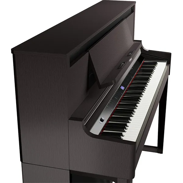 Music City – Tổng Kho Piano, Guitar, Organ | Dịch Vụ Giáo Dục Âm Nhạc
