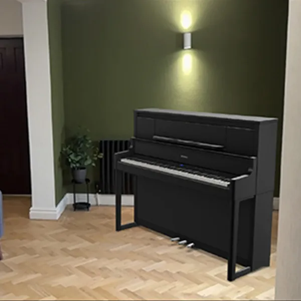 Music City – Tổng Kho Piano, Guitar, Organ | Dịch Vụ Giáo Dục Âm Nhạc