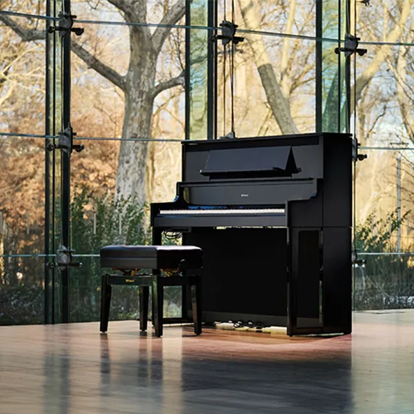 Music City – Tổng Kho Piano, Guitar, Organ | Dịch Vụ Giáo Dục Âm Nhạc