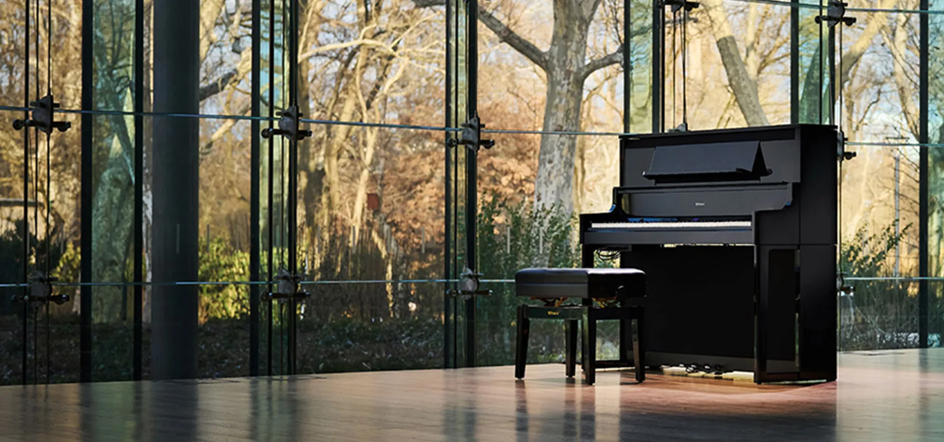 Music City – Tổng Kho Piano, Guitar, Organ | Dịch Vụ Giáo Dục Âm Nhạc
