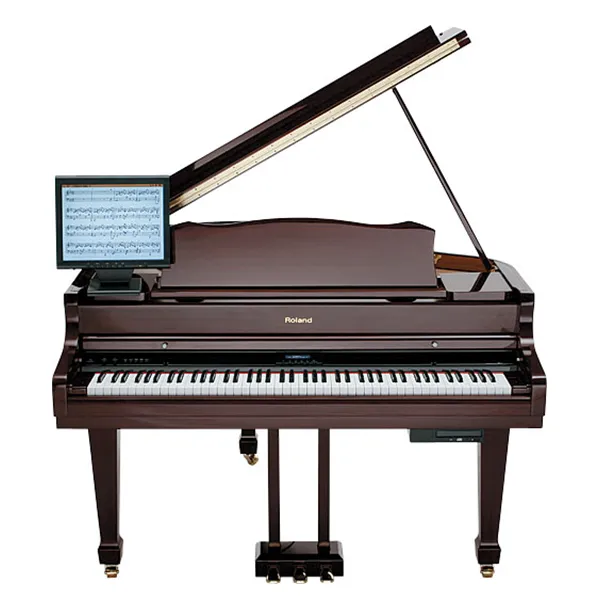 Music City – Tổng Kho Piano, Guitar, Organ | Dịch Vụ Giáo Dục Âm Nhạc
