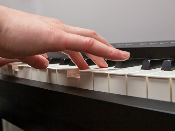 Music City – Tổng Kho Piano, Guitar, Organ | Dịch Vụ Giáo Dục Âm Nhạc