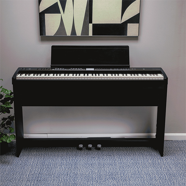 Music City – Tổng Kho Piano, Guitar, Organ | Dịch Vụ Giáo Dục Âm Nhạc