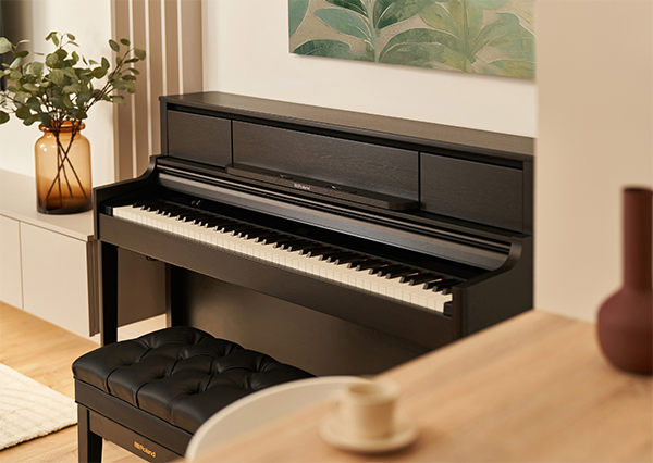Music City – Tổng Kho Piano, Guitar, Organ | Dịch Vụ Giáo Dục Âm Nhạc
