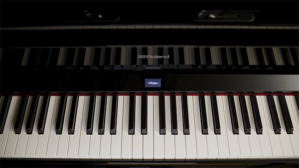 Music City – Tổng Kho Piano, Guitar, Organ | Dịch Vụ Giáo Dục Âm Nhạc