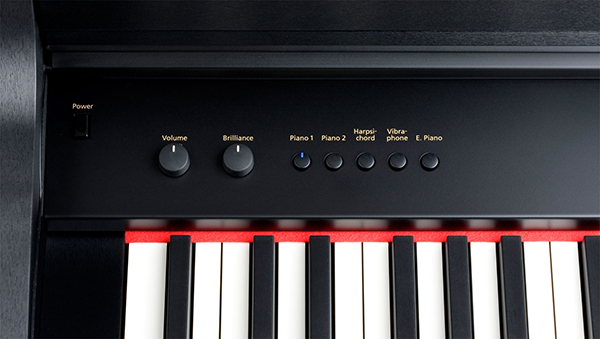Music City – Tổng Kho Piano, Guitar, Organ | Dịch Vụ Giáo Dục Âm Nhạc