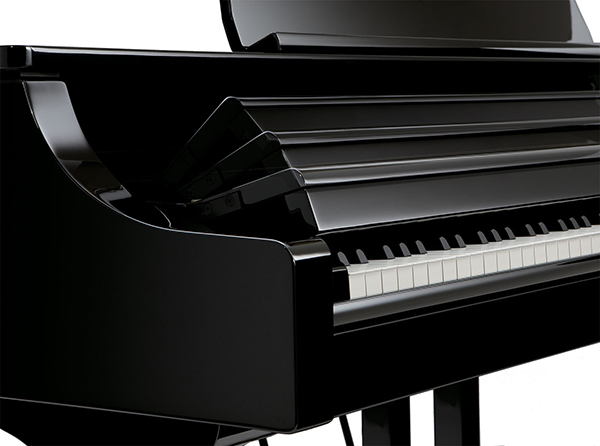 Music City – Tổng Kho Piano, Guitar, Organ | Dịch Vụ Giáo Dục Âm Nhạc