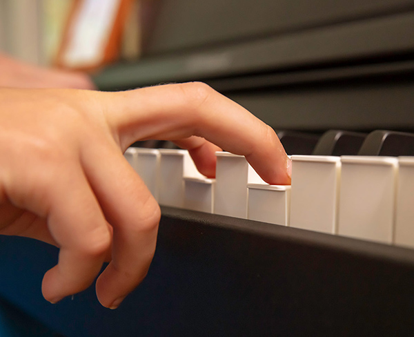 Music City – Tổng Kho Piano, Guitar, Organ | Dịch Vụ Giáo Dục Âm Nhạc