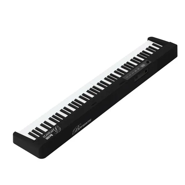 Music City – Tổng Kho Piano, Guitar, Organ | Dịch Vụ Giáo Dục Âm Nhạc