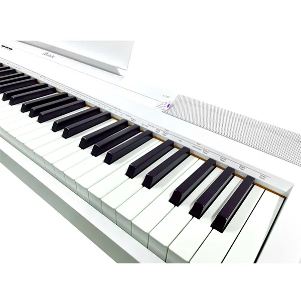 dan-piano-beisite-s192-musiccity