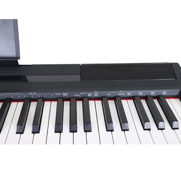 Music City – Tổng Kho Piano, Guitar, Organ | Dịch Vụ Giáo Dục Âm Nhạc