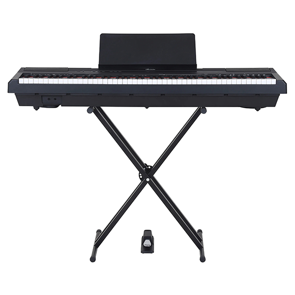 Music City – Tổng Kho Piano, Guitar, Organ | Dịch Vụ Giáo Dục Âm Nhạc