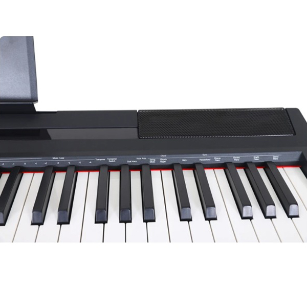 Music City – Tổng Kho Piano, Guitar, Organ | Dịch Vụ Giáo Dục Âm Nhạc