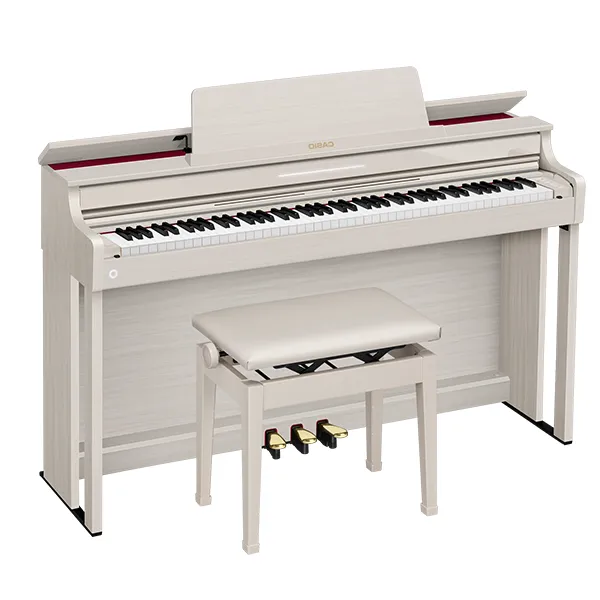 Music City – Tổng Kho Piano, Guitar, Organ | Dịch Vụ Giáo Dục Âm Nhạc