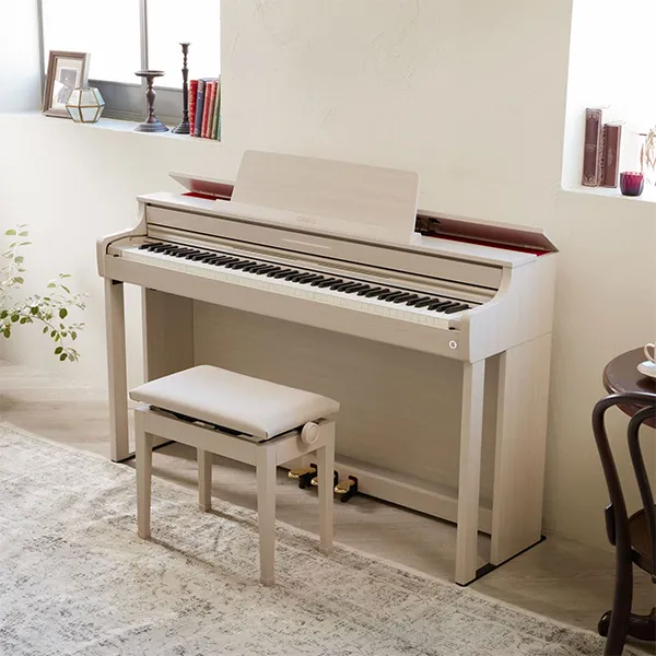 Music City – Tổng Kho Piano, Guitar, Organ | Dịch Vụ Giáo Dục Âm Nhạc