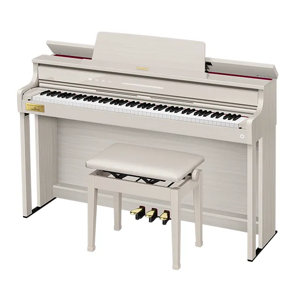 Music City – Tổng Kho Piano, Guitar, Organ | Dịch Vụ Giáo Dục Âm Nhạc