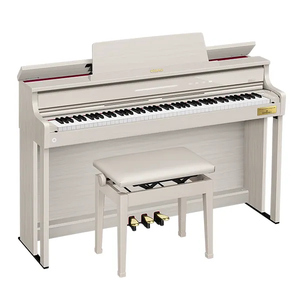 Music City – Tổng Kho Piano, Guitar, Organ | Dịch Vụ Giáo Dục Âm Nhạc