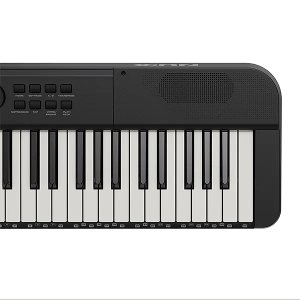 Music City – Tổng Kho Piano, Guitar, Organ | Dịch Vụ Giáo Dục Âm Nhạc