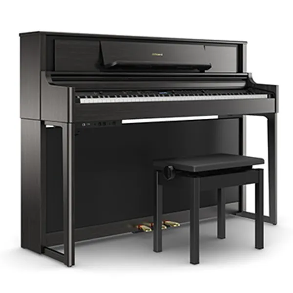 Music City – Tổng Kho Piano, Guitar, Organ | Dịch Vụ Giáo Dục Âm Nhạc