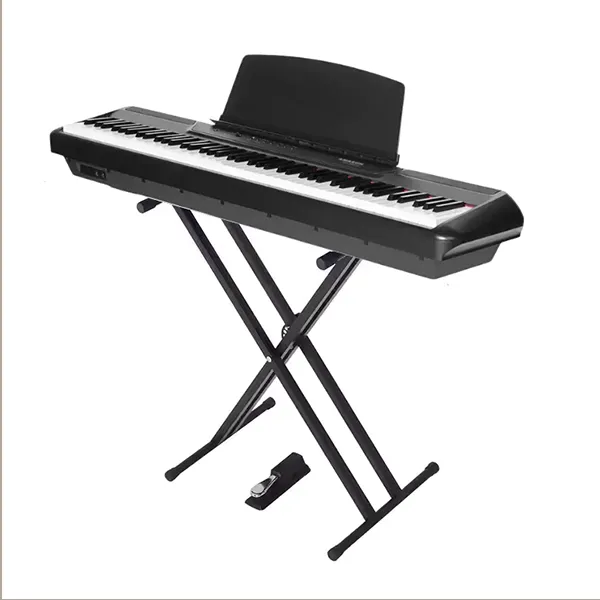Music City – Tổng Kho Piano, Guitar, Organ | Dịch Vụ Giáo Dục Âm Nhạc