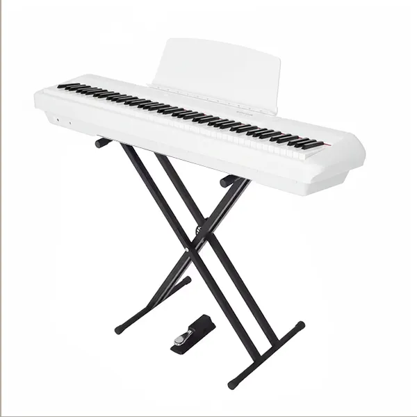 Music City – Tổng Kho Piano, Guitar, Organ | Dịch Vụ Giáo Dục Âm Nhạc