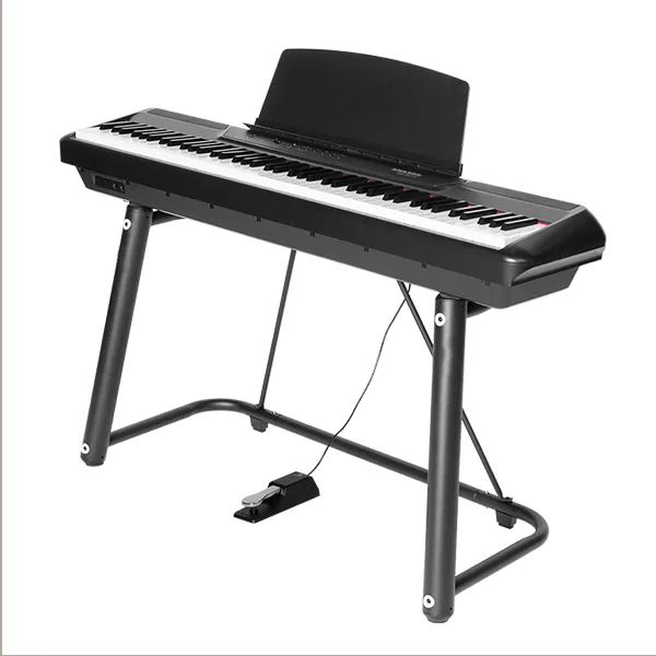 Music City – Tổng Kho Piano, Guitar, Organ | Dịch Vụ Giáo Dục Âm Nhạc