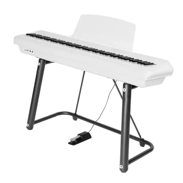 Music City – Tổng Kho Piano, Guitar, Organ | Dịch Vụ Giáo Dục Âm Nhạc