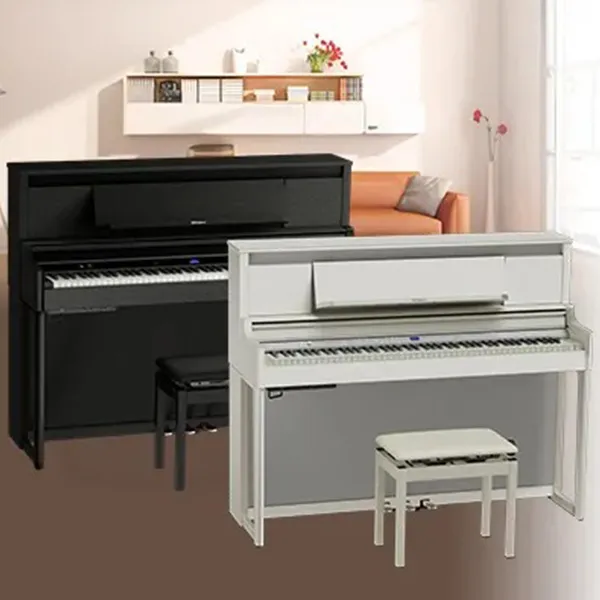 Music City – Tổng Kho Piano, Guitar, Organ | Dịch Vụ Giáo Dục Âm Nhạc