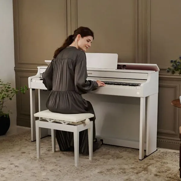 dan-piano-casio-ap300-musiccity