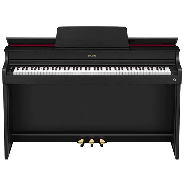 Music City – Tổng Kho Piano, Guitar, Organ | Dịch Vụ Giáo Dục Âm Nhạc