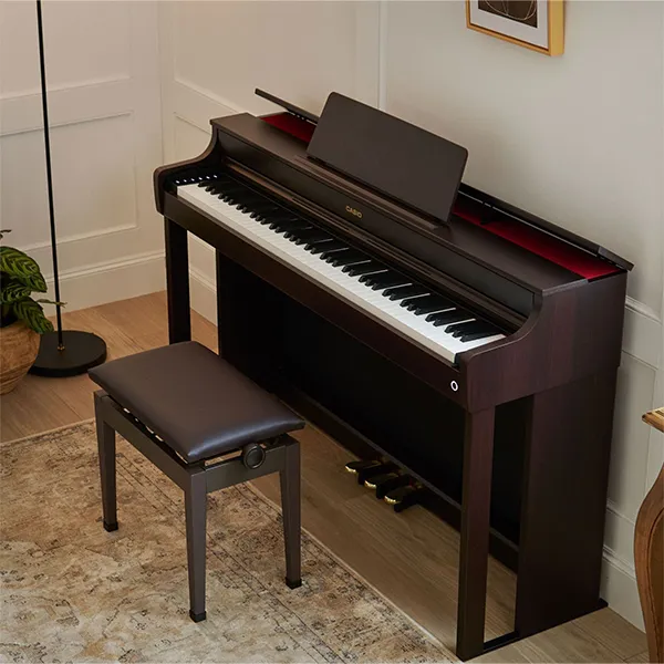 Music City – Tổng Kho Piano, Guitar, Organ | Dịch Vụ Giáo Dục Âm Nhạc