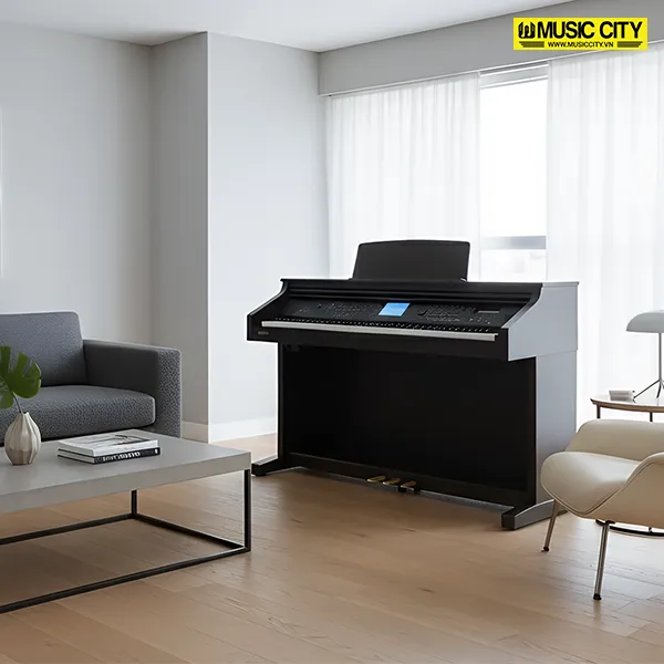Music City – Tổng Kho Piano, Guitar, Organ | Dịch Vụ Giáo Dục Âm Nhạc