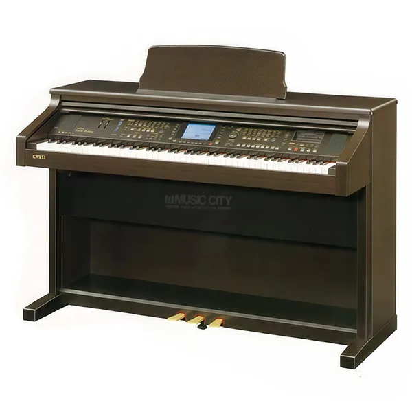 Music City – Tổng Kho Piano, Guitar, Organ | Dịch Vụ Giáo Dục Âm Nhạc
