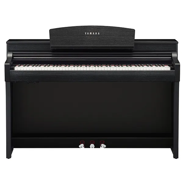 Music City – Tổng Kho Piano, Guitar, Organ | Dịch Vụ Giáo Dục Âm Nhạc