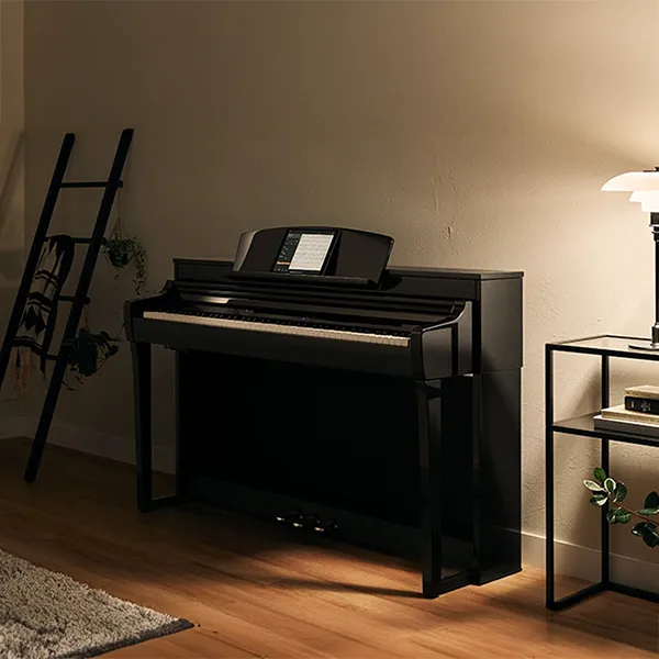 Music City – Tổng Kho Piano, Guitar, Organ | Dịch Vụ Giáo Dục Âm Nhạc