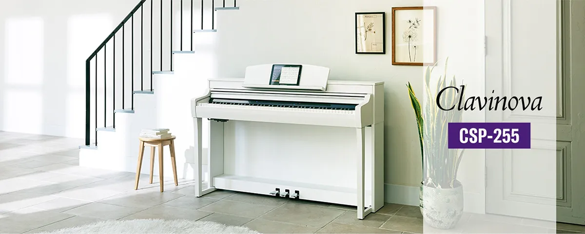Music City – Tổng Kho Piano, Guitar, Organ | Dịch Vụ Giáo Dục Âm Nhạc