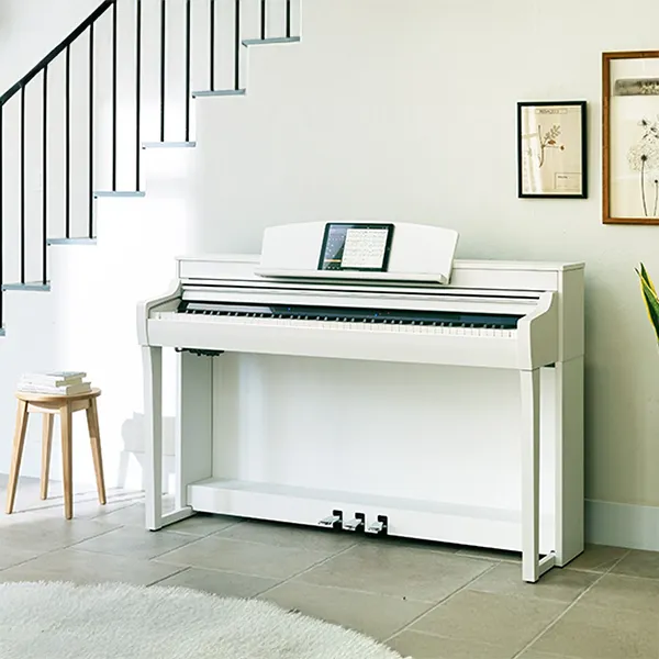 Music City – Tổng Kho Piano, Guitar, Organ | Dịch Vụ Giáo Dục Âm Nhạc